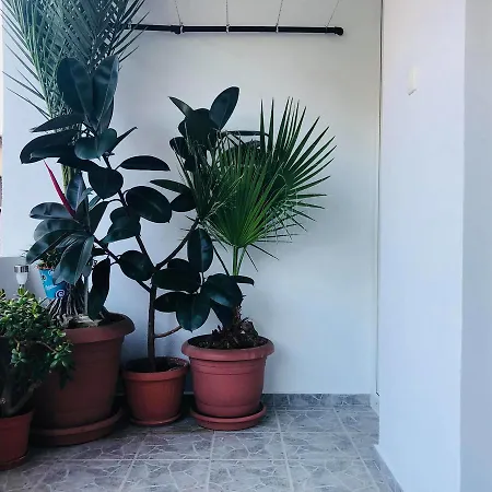 Apartment Апартамент Еделвайс *